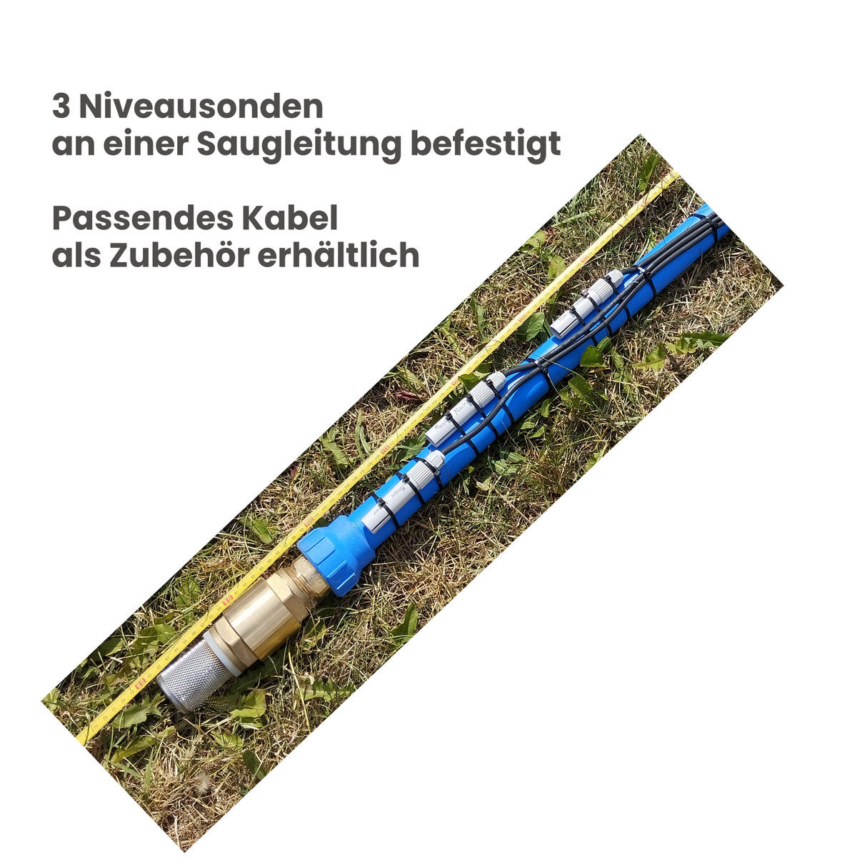 Niveausonde Lovato 11SN1 - Pumpenland