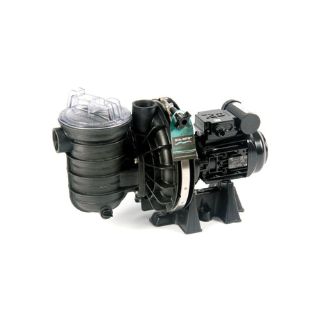 Sta-Rite Duraglas-Poolpumpen