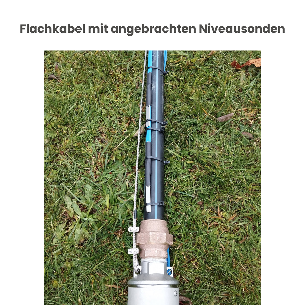Flachkabel mit angebrachten Niveausonden