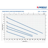 Tauchpumpe Pedrollo RXm 3