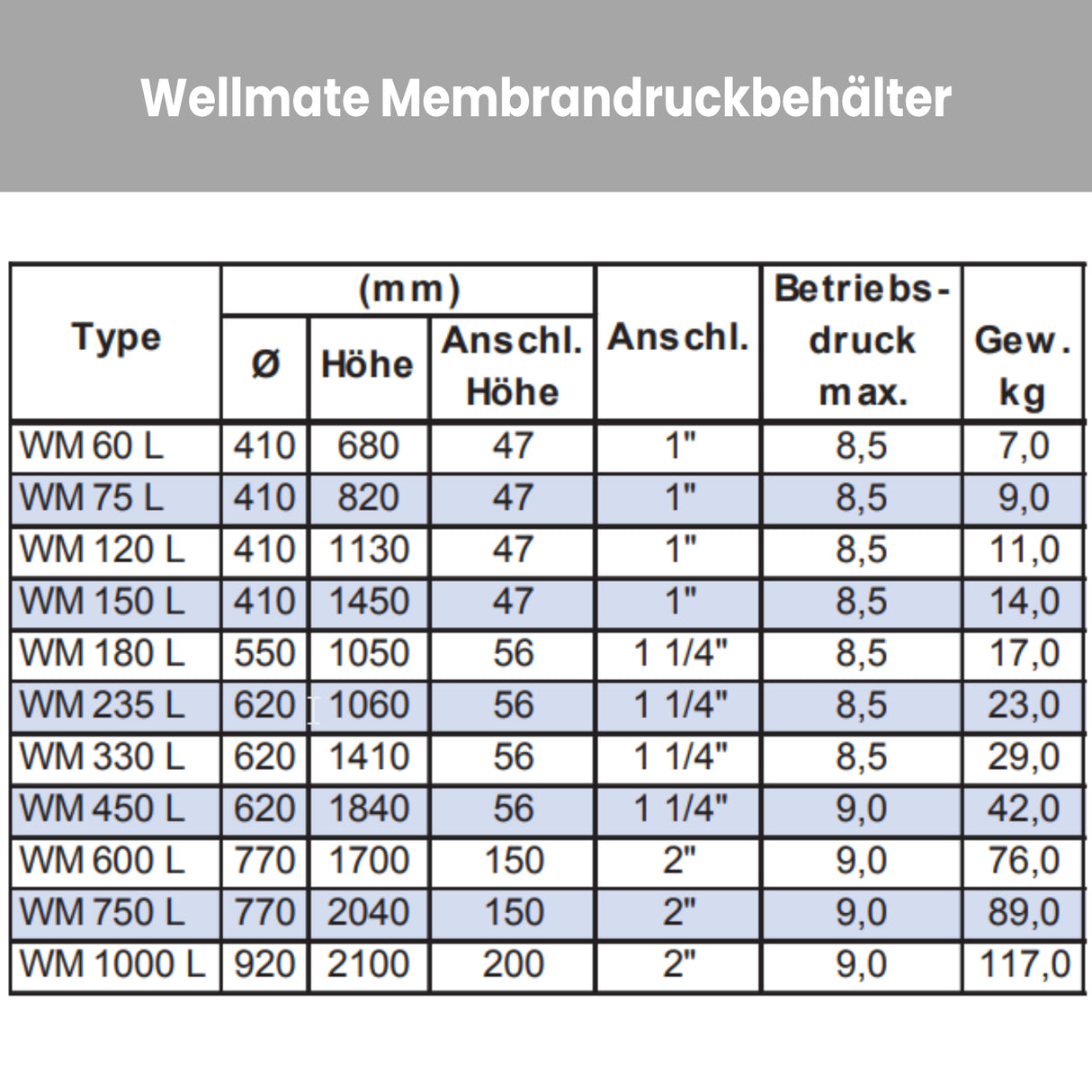 Membran Druckbehälter Wellmate WM150